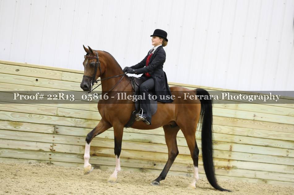 Proof 22R13_05816