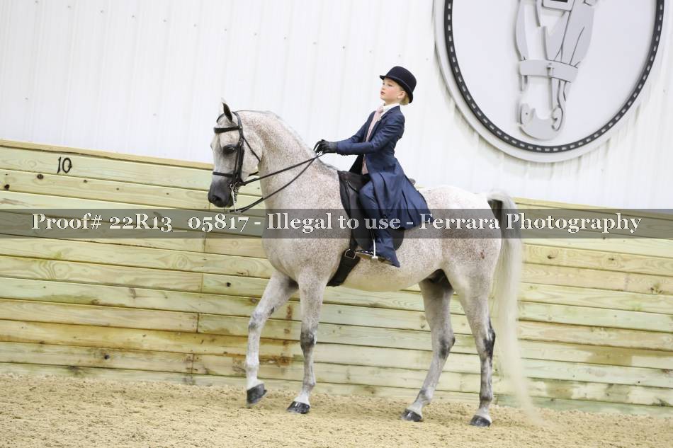 Proof 22R13_05817