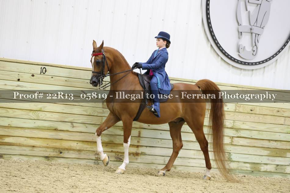 Proof 22R13_05819