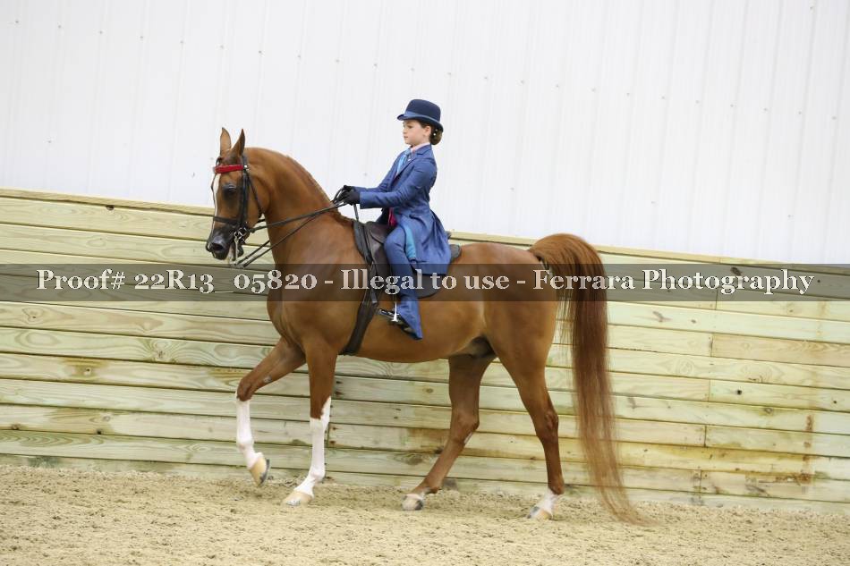 Proof 22R13_05820