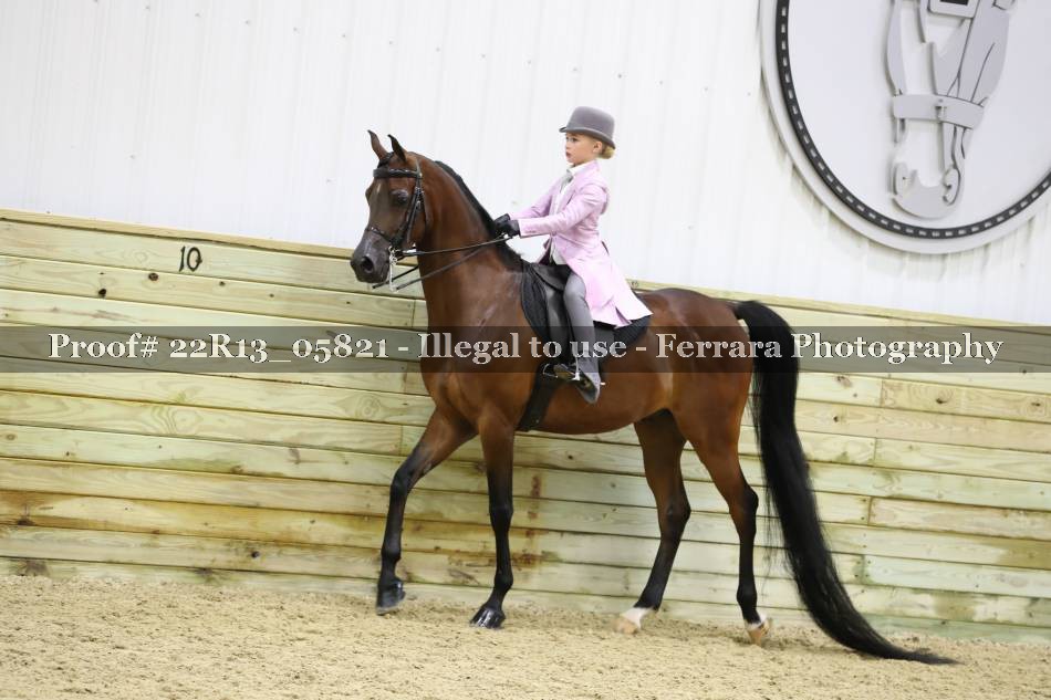 Proof 22R13_05821