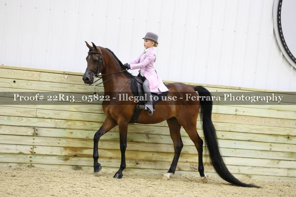 Proof 22R13_05822