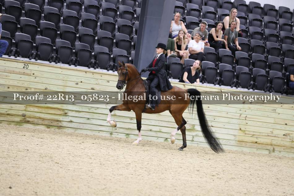 Proof 22R13_05823