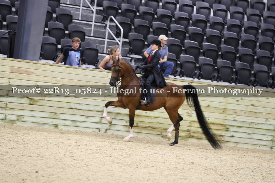 Proof 22R13_05824
