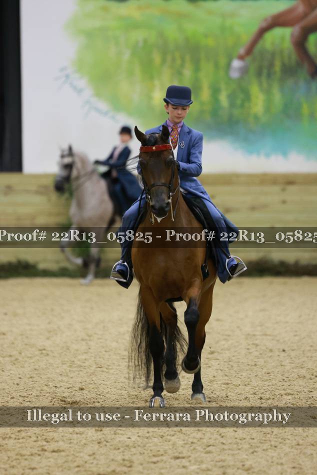 Proof 22R13_05825