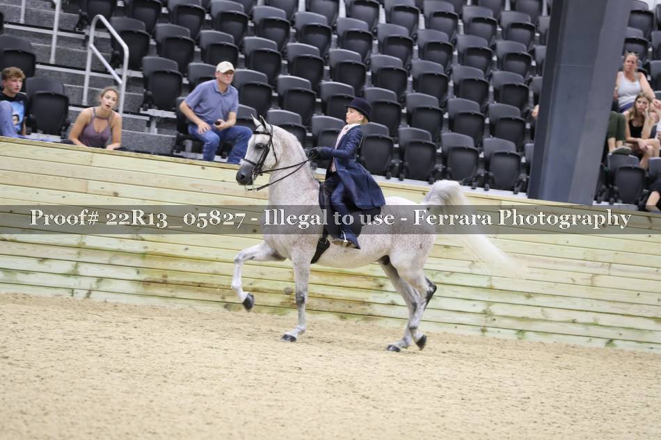 Proof 22R13_05827