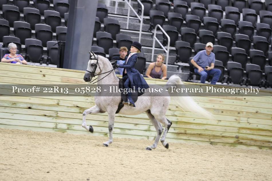 Proof 22R13_05828