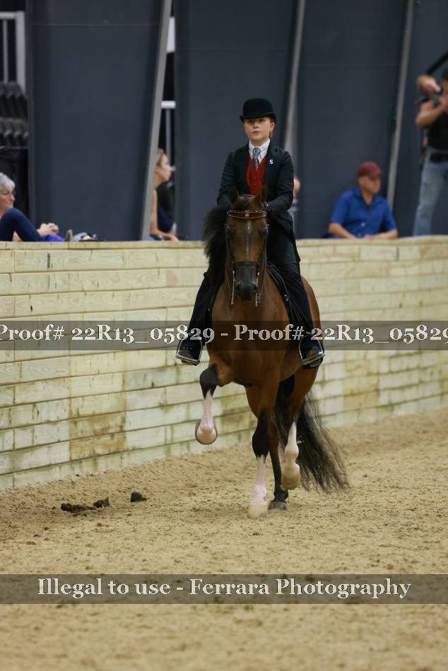 Proof 22R13_05829