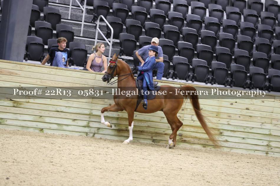 Proof 22R13_05831