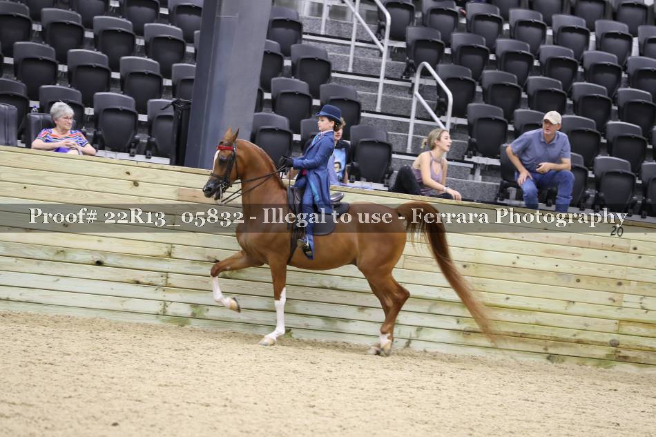 Proof 22R13_05832