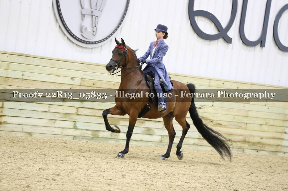 Proof 22R13_05833