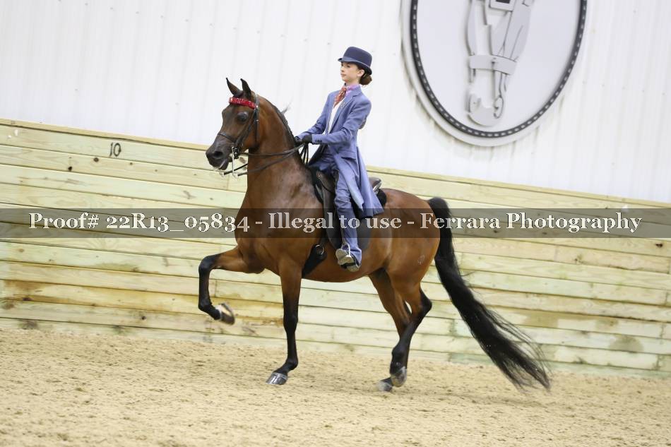 Proof 22R13_05834