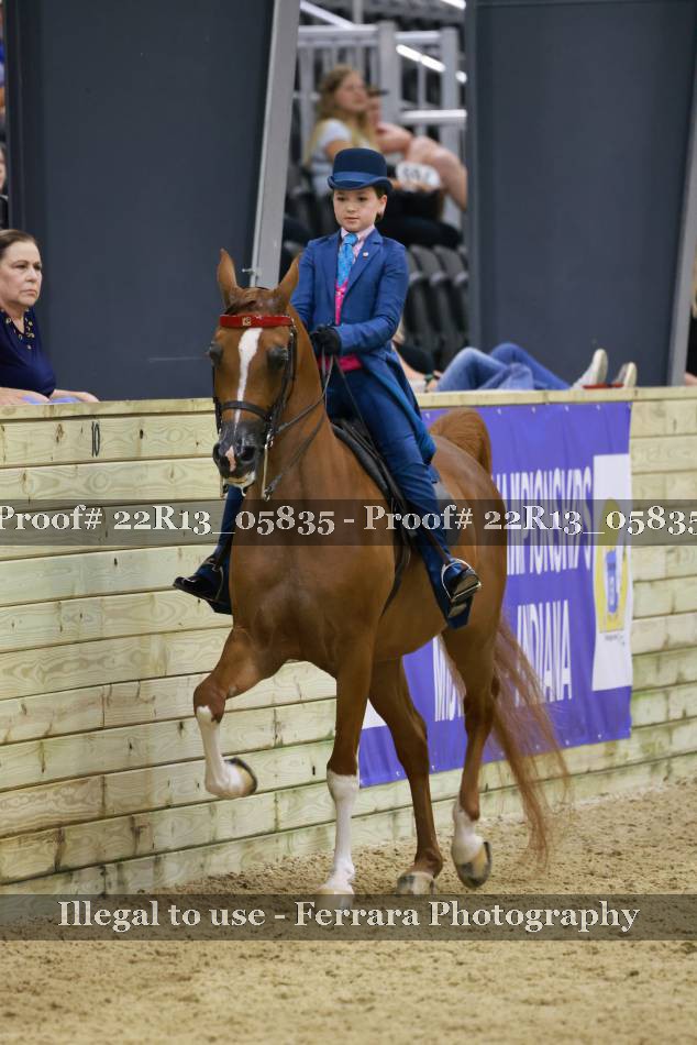 Proof 22R13_05835