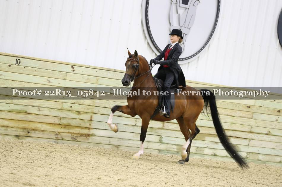 Proof 22R13_05842