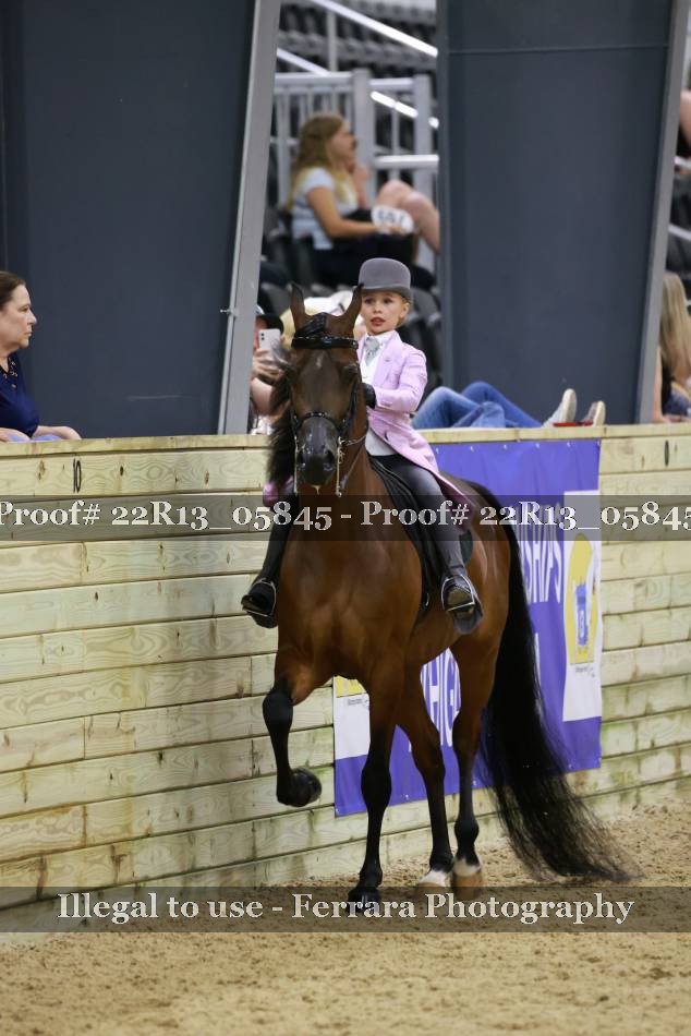 Proof 22R13_05845