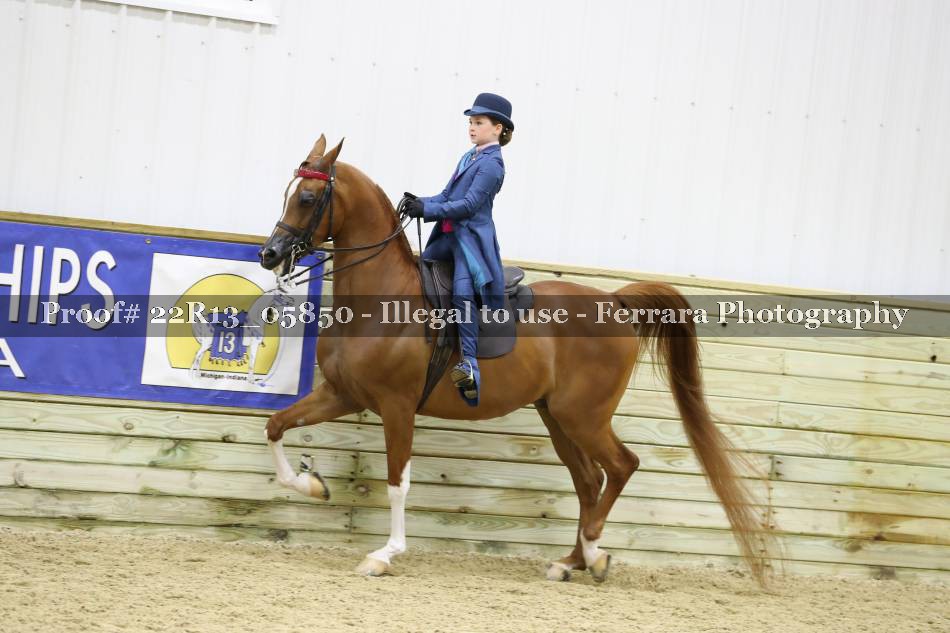 Proof 22R13_05850
