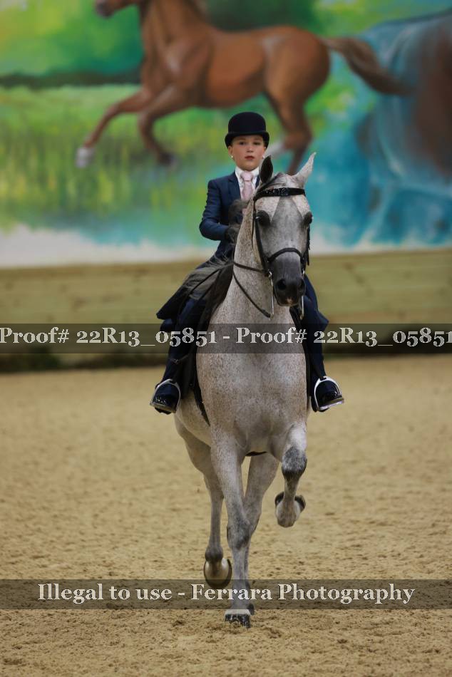 Proof 22R13_05851