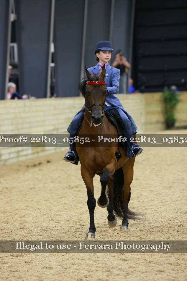 Proof 22R13_05852