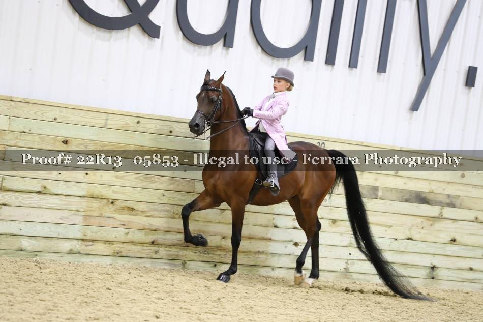 Proof 22R13_05853