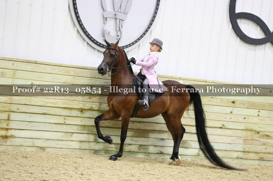 Proof 22R13_05854