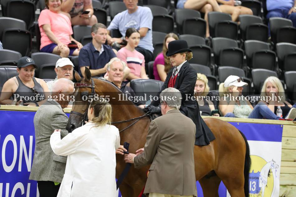 Proof 22R13_05855