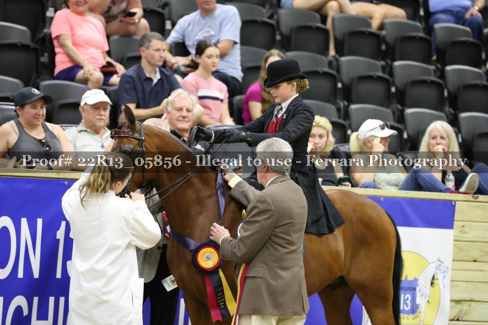 Proof 22R13_05856