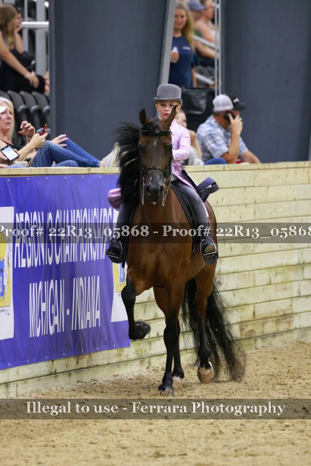 Proof 22R13_05868