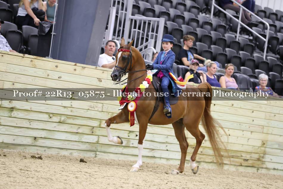 Proof 22R13_05875
