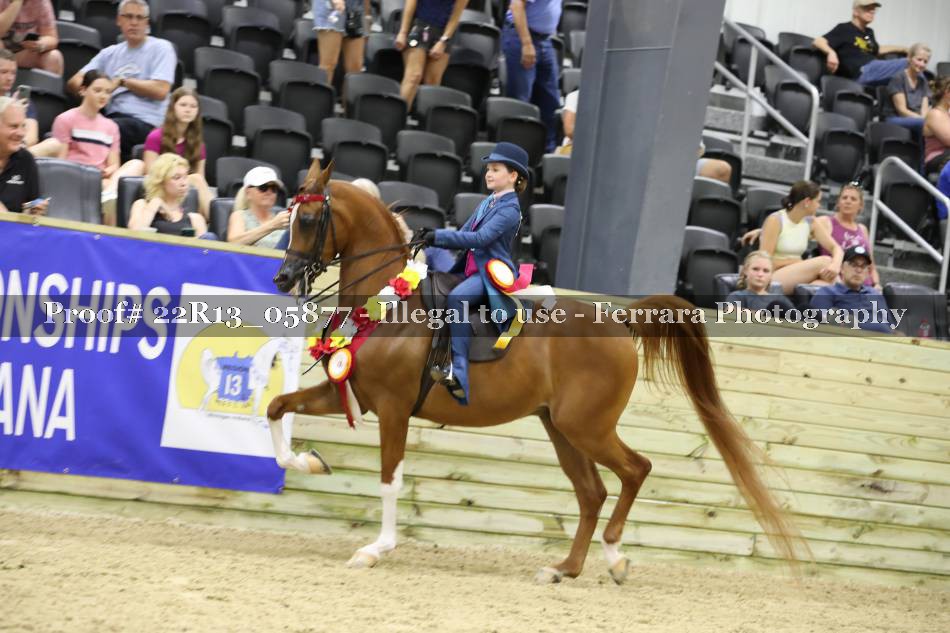 Proof 22R13_05877