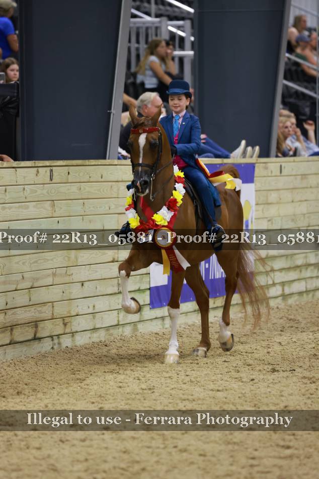 Proof 22R13_05881