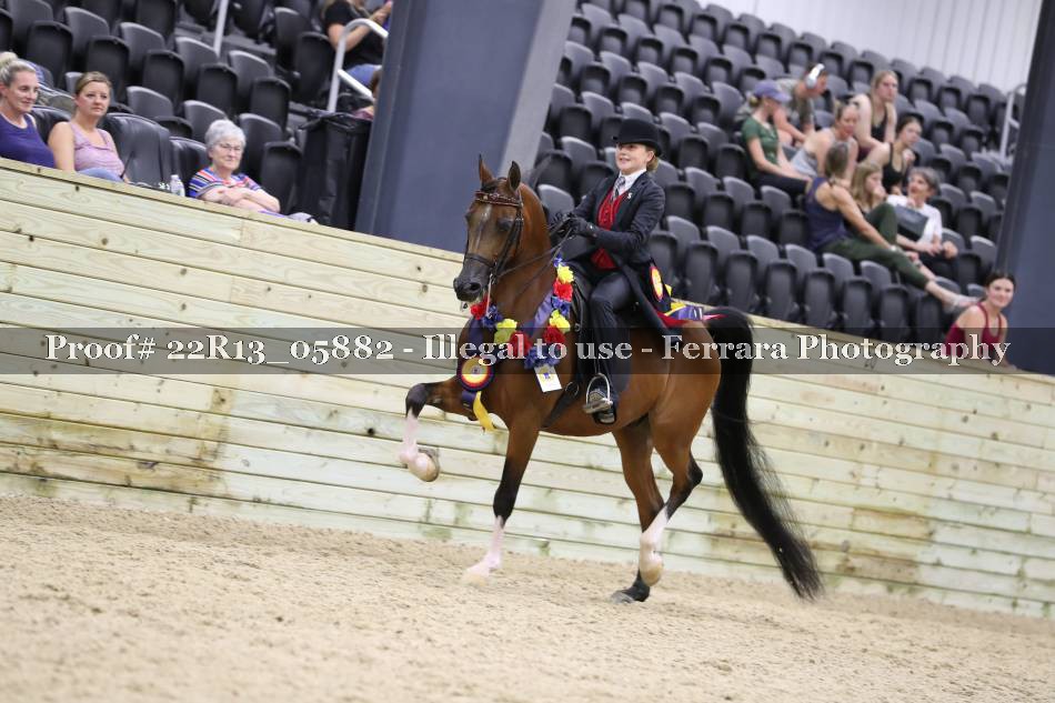 Proof 22R13_05882