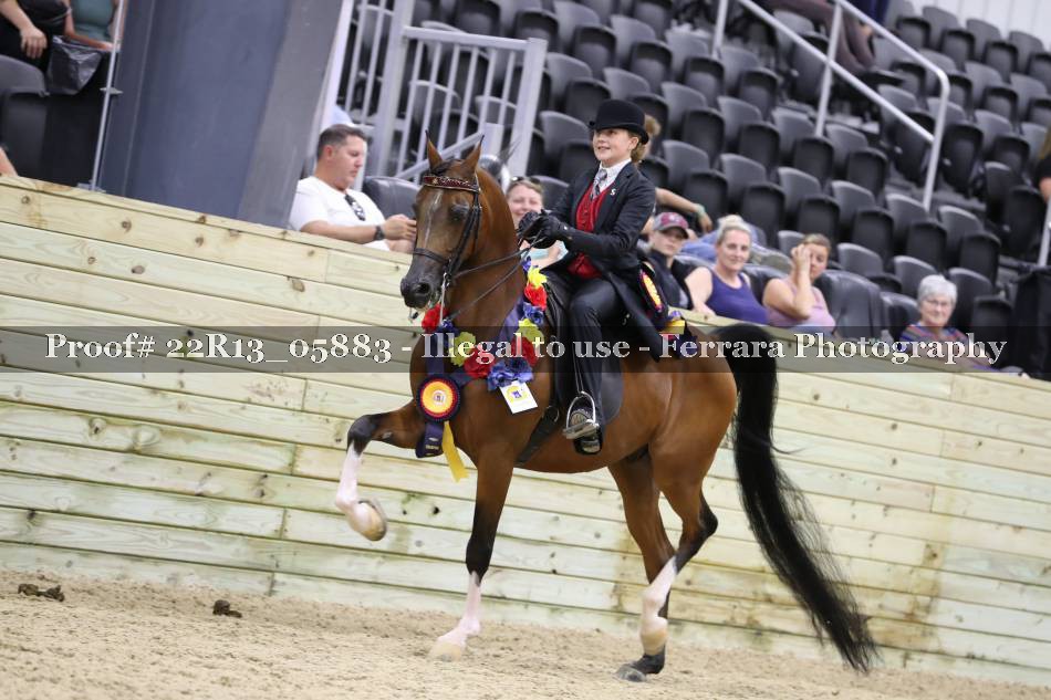 Proof 22R13_05883