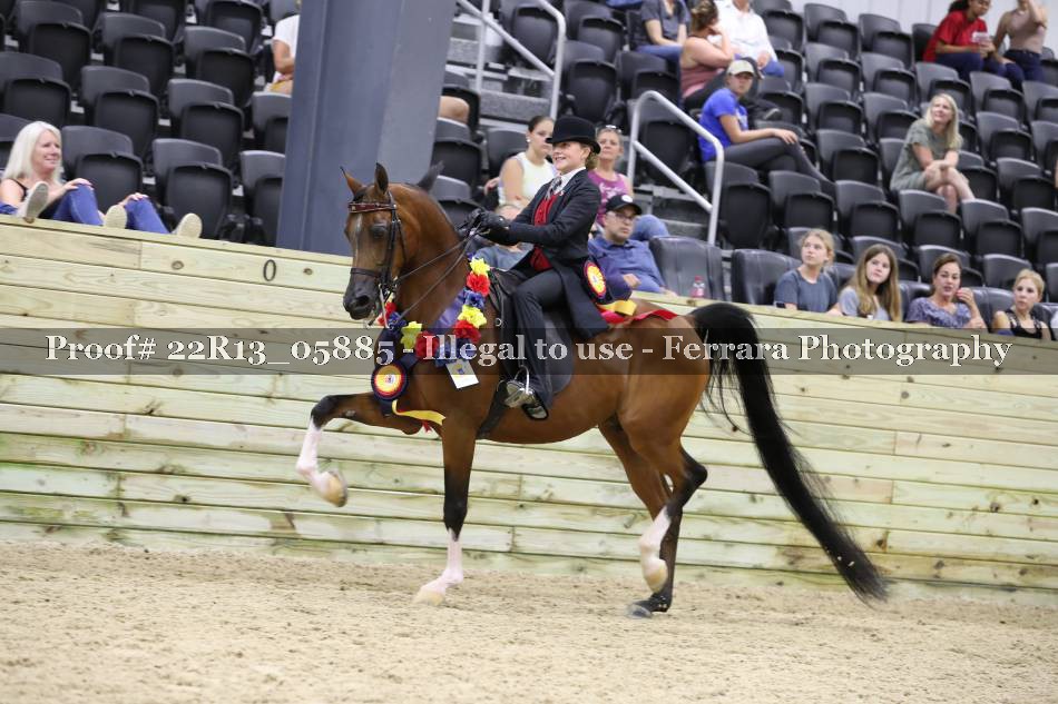 Proof 22R13_05885
