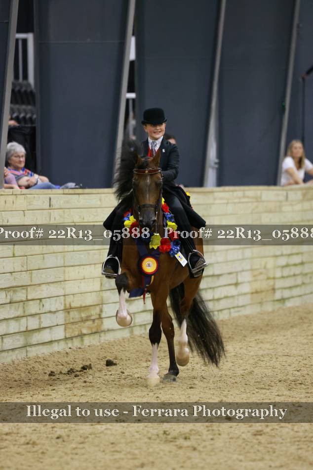 Proof 22R13_05888