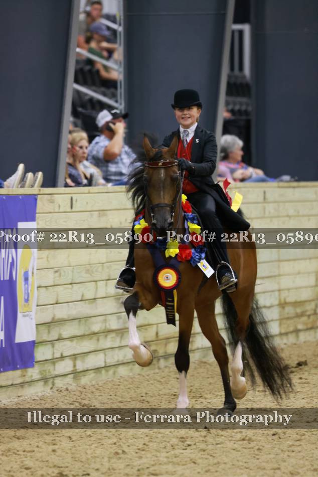 Proof 22R13_05890