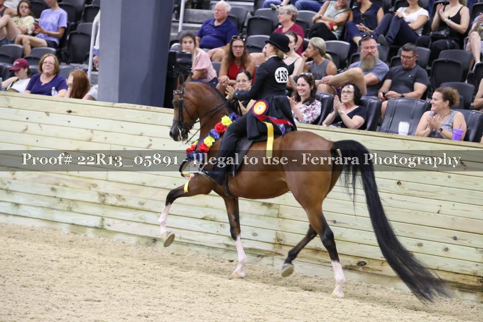 Proof 22R13_05891