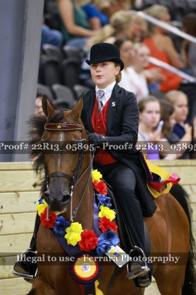 Proof 22R13_05895