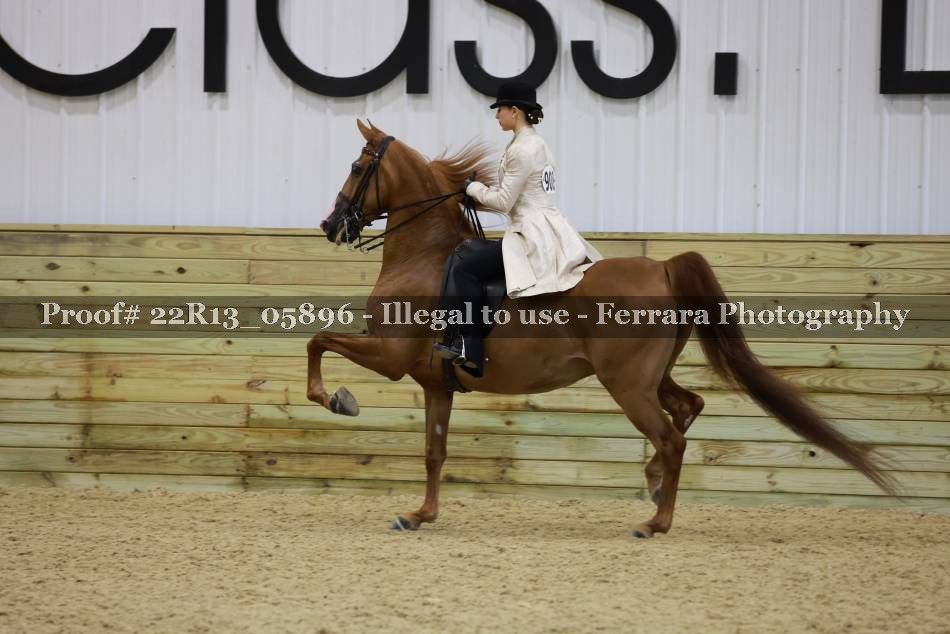 Proof 22R13_05896