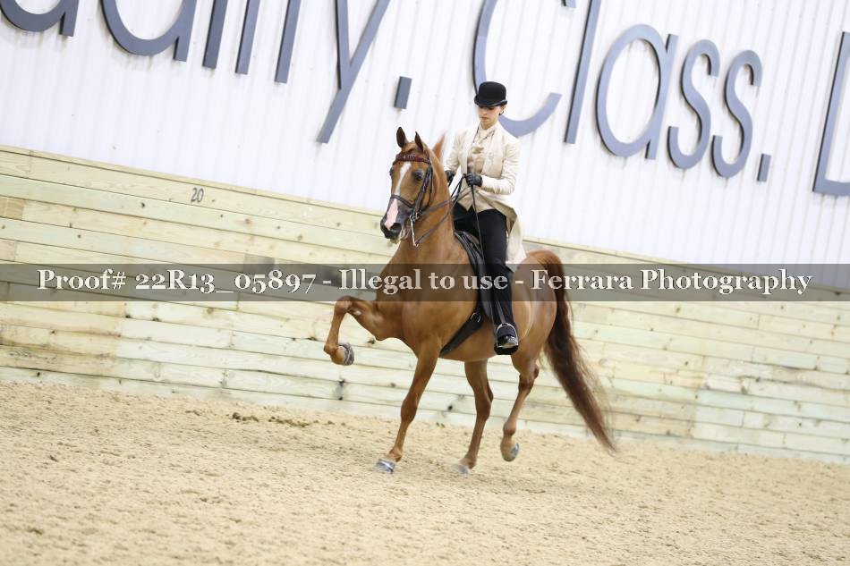 Proof 22R13_05897