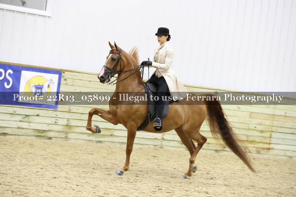 Proof 22R13_05899