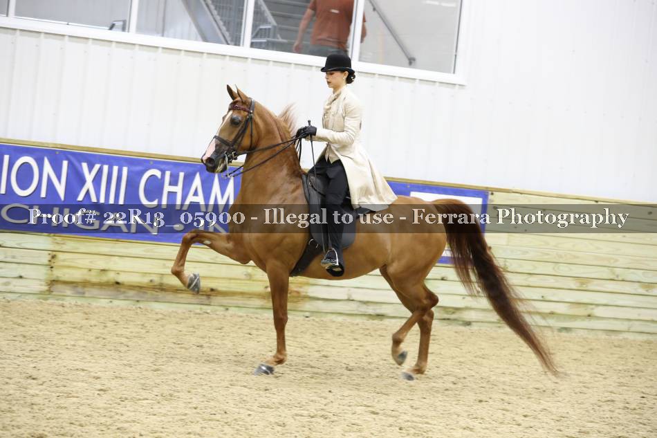 Proof 22R13_05900
