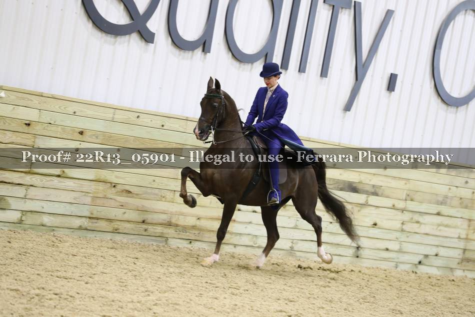 Proof 22R13_05901
