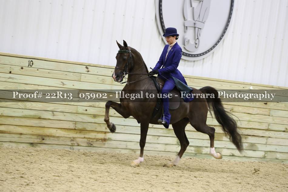 Proof 22R13_05902