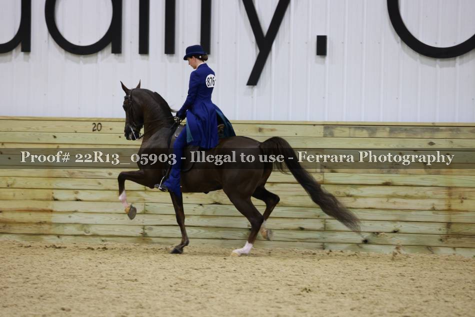 Proof 22R13_05903