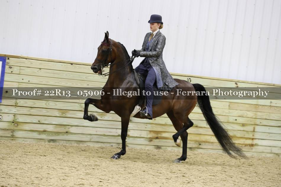 Proof 22R13_05906