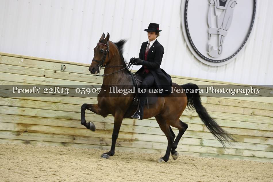 Proof 22R13_05907