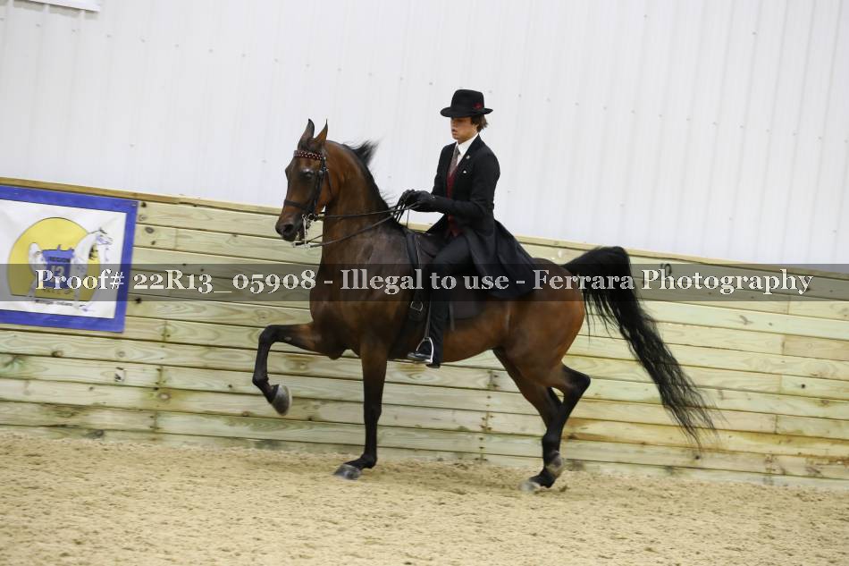 Proof 22R13_05908
