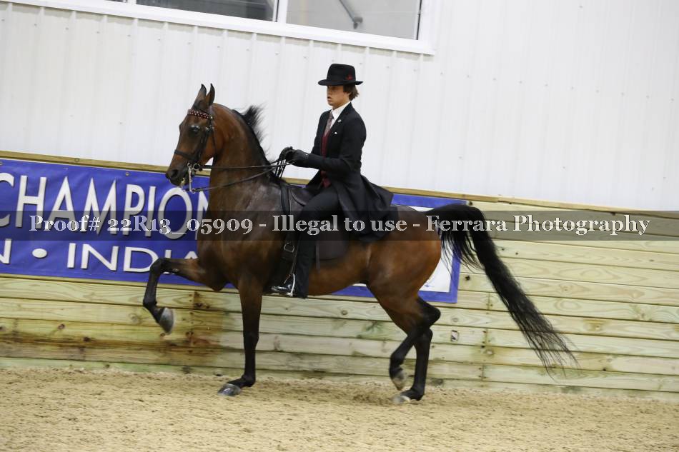 Proof 22R13_05909