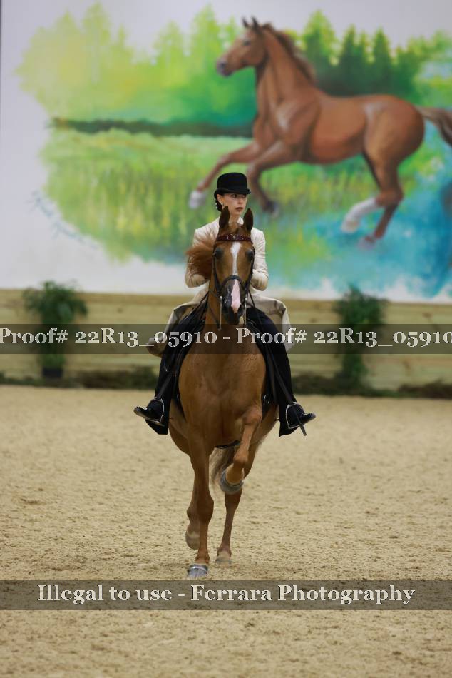 Proof 22R13_05910