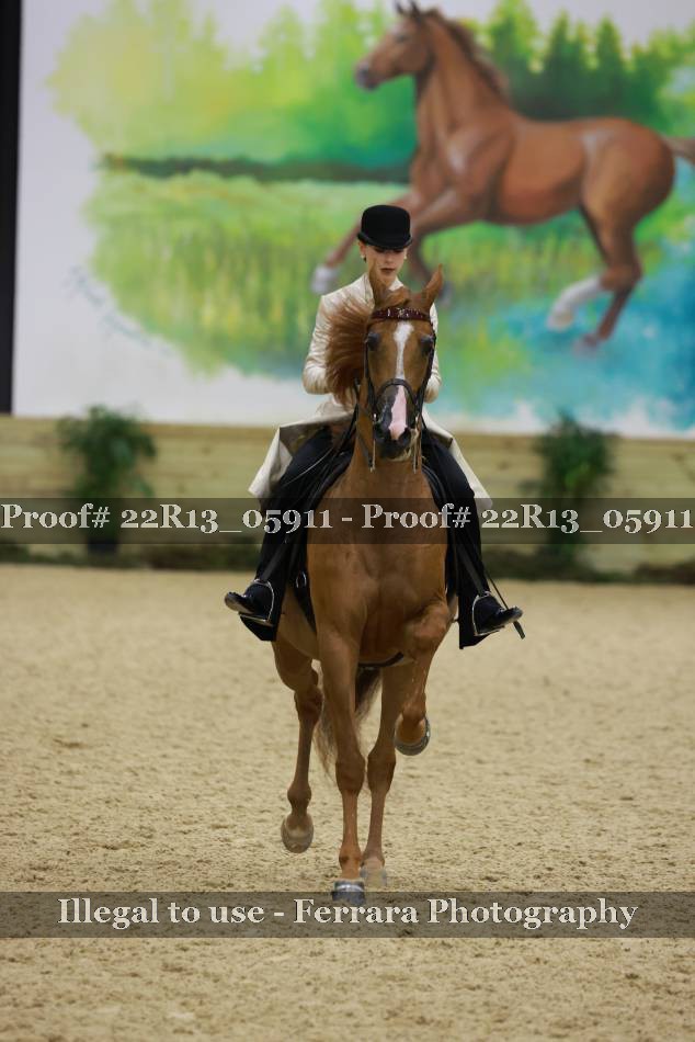 Proof 22R13_05911